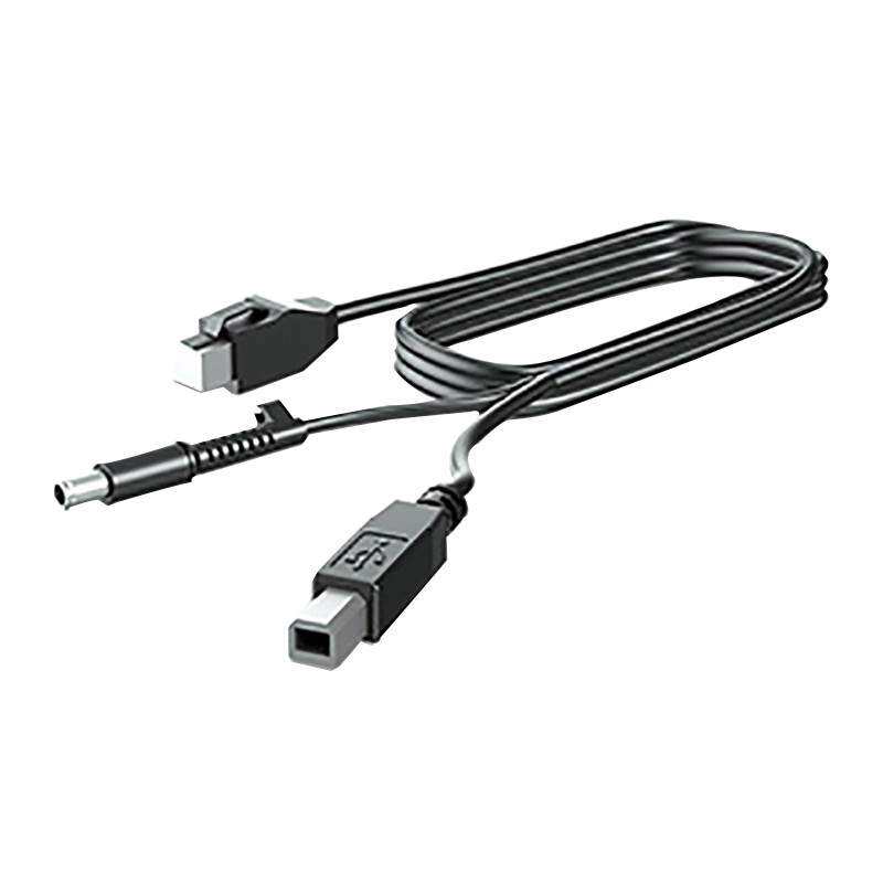 HP 300CM DP+USB PWR CABLE